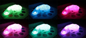 Color Copying Chameleon Lamp - DomoINK