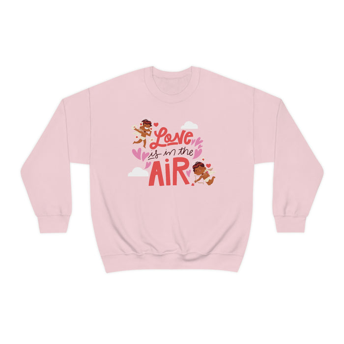 "Love is in the Air" Unisex Sweatshirt - DomoINK